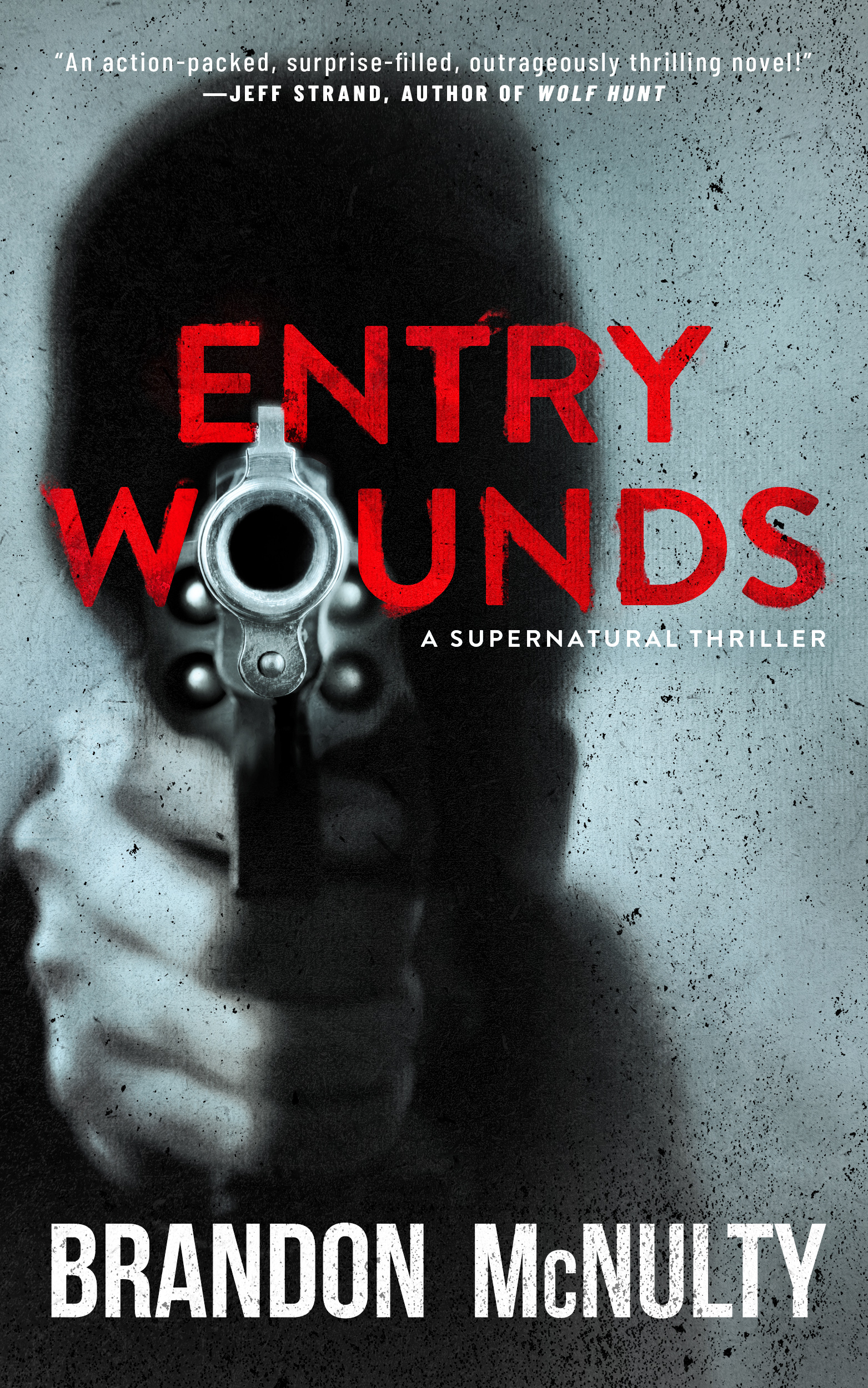 Entry Wounds by Brandon McNulty