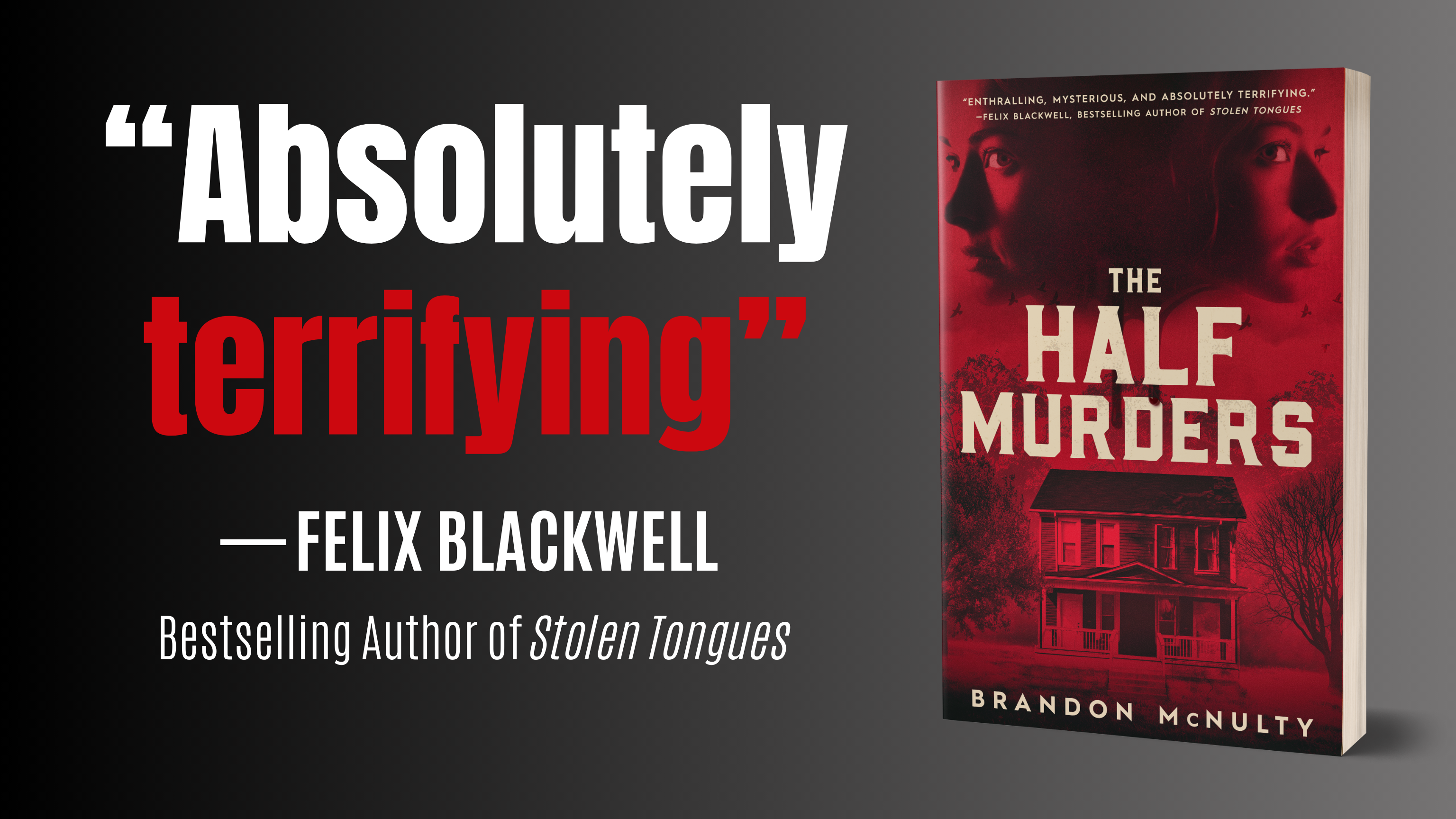 Read more about the article BOOK RELEASE! The Half Murders by Brandon McNulty